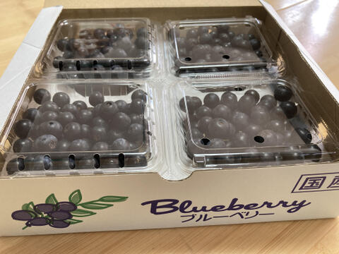 佐賀県産　大地のミネラルブリーベリー1ｋｇ