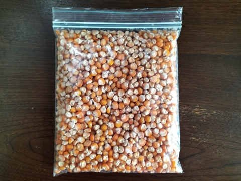 【自然栽培】甲州とうもろこしの粒　500g