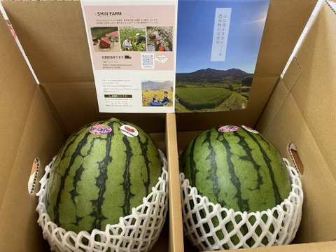 【父の日ギフト】【メッセージカード付き】名産地熊本県よりお届け‼︎小玉スイカ2玉入り(2.3kg以上×2玉)