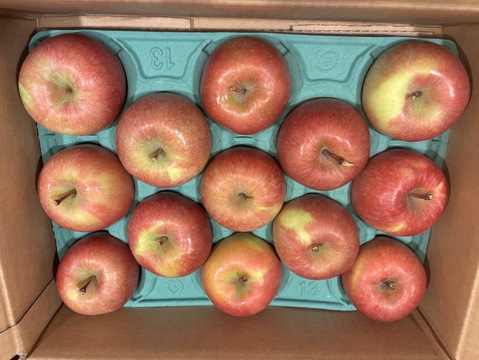 「話題の こうとく !! 」約2.7Kg青森県産 数量限定 高徳 りんご『話題のリンゴはここみつけたら即買いをお勧めします!!』林檎 apple