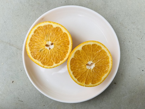 【初夏の香り楽しみませんか？】大崎上島産「甘夏」　5kg （12～15個前後）爽やかな酸味とほろ苦さ、甘い香りに思わずにっこり！