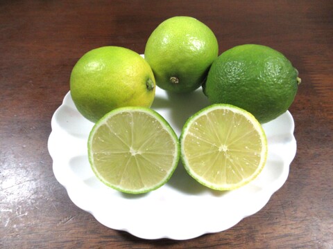 爽やかな香りで果汁たっぷり！ライム　1㎏　静岡県より産地直送