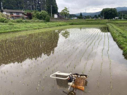 有機JAS認証　天日干し　精米3kg　もちもち食感のミルキークイーン