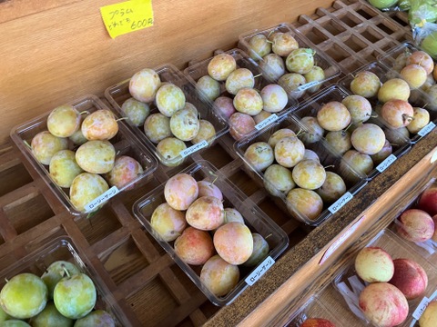 甘～いプラム ロージーゲージ (1kg)