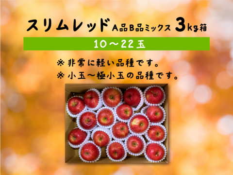 年明け発送🍎【幻の小玉第3弾】スリムレッド シャキッとジューシー 3キロ箱使用 9〜25玉程度　商品ID51599 長野県 信州 安曇野 リンゴ 幻 幻のリンゴ 予約 希少 旬