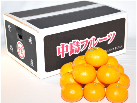 濃厚完熟　大津みかん　ご家庭用・10ｋｇ