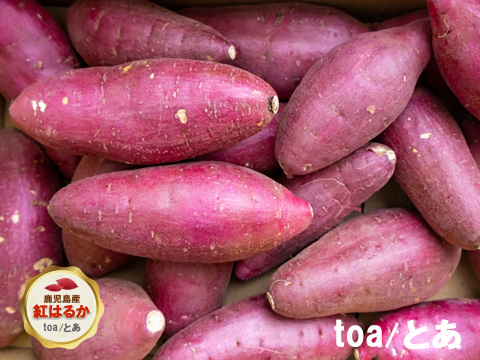 本場鹿児島産の甘～い べにはるか（さつまいも）5kg