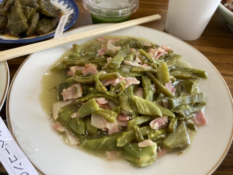 メキシコ帰りの農家が栽培する　食用サボテン　500ｇ