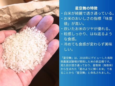 鳥取の清流育ち　令和7年産新米【星空舞】5kg｜冷蔵保存で鮮度抜群！