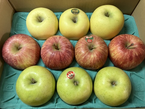 【3種食べ比べセット】サンふじ　シナノゴールド　王林　（9個～12個）3キロ箱使用