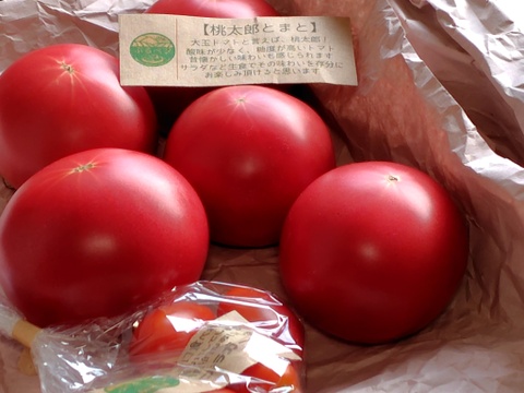 トマト様 今が旬♪夏の王様トマト🍅赤熟もぎりの【麗月】8〜9玉詰め