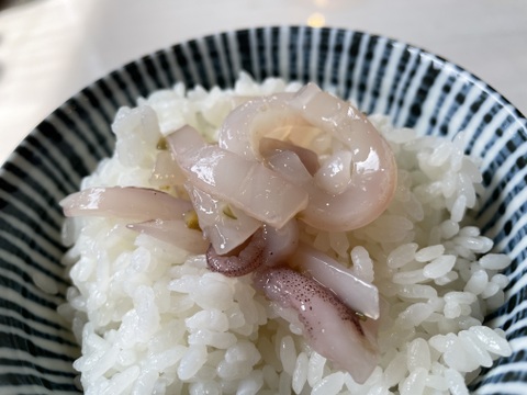釣りたてヤリイカの塩辛(肝不使用)2瓶