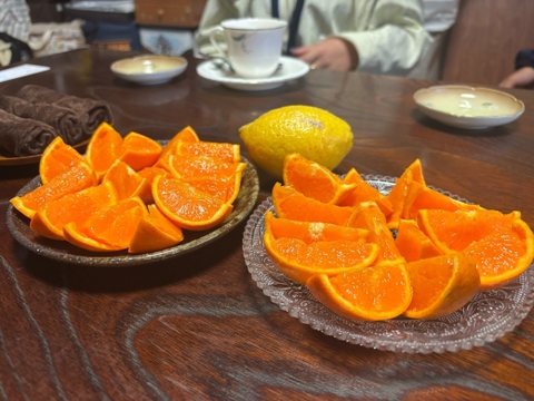 数量限定】せとか｜果汁ぎっしり・ほんのり酸味の春果実 ｜2Lサイズ 6