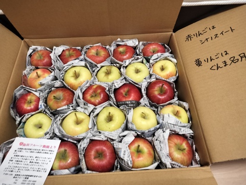季節のりんご ミニ小玉ちゃん 約26玉（約4.3㎏）
シナノスイート、王林などをミックス　
２種類～の味を食べ比べ
ミニサイズのかわいいりんごをバラづめでお届け
丸かじりでどうぞ　信州長野県産