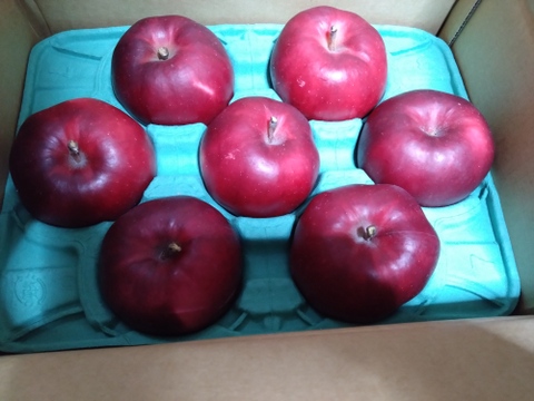 【完売】紅の夢 お菓子作りにオススメ！ 家庭用 2.3kg(6～12個)