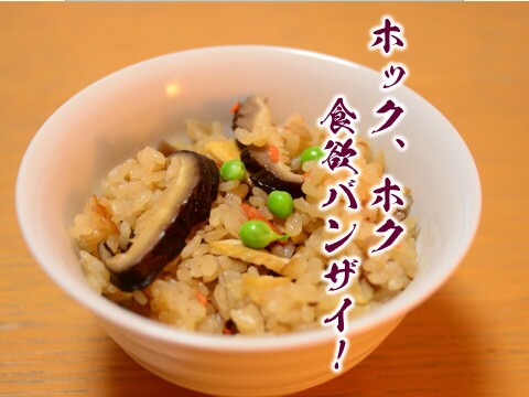 うま味濃厚！熊本県産原木乾燥しいたけ【大袋】480ｇ（120ｇ×4個）