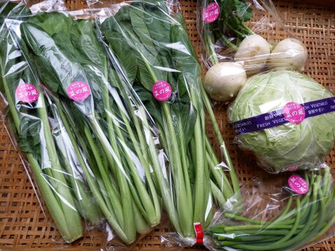 【春野菜】小松菜3袋+おまかせ春野菜1～2品+ポップコーン種セット