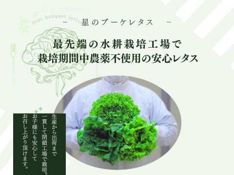 洗わずすぐに食べられる安心品質！
ビタミンA約9倍、β-カロテン約10倍の栄養満点レタス。
栽培期間中農薬不使用・完全閉鎖型水耕栽培で育てた、自信作。