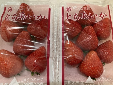 シャキッと歯応え！ジュワ～と果汁！完熟とちあいか！厳選大粒パック！今話題の甘さが際立つ品種です！290g×2パック