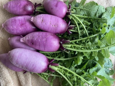 野菜ソムリエ厳選 農薬化学肥料不使用！
こだわり旬のお試し野菜セット！ 滋賀県産