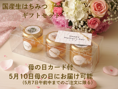 【母の日ギフト】国産生はちみつギフトセット　80ｇ3本　おっしゃれ名ギフトボックス入り　母の日カード付　アカシア　ナッツの蜂蜜漬け　ケンポナシ