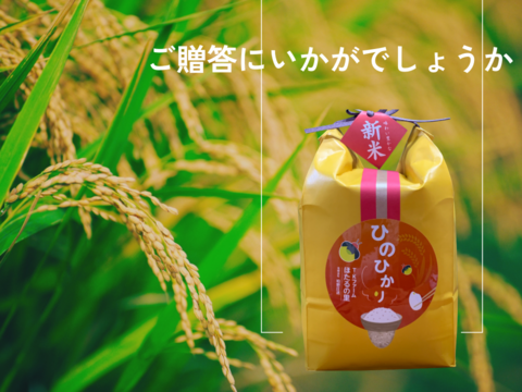 【令和7年新米】地元の産直市場でリピーター続出！岡山県産ヒノヒカリ玄米10㎏ 甘みと香り豊かな味わいで、噛むほどに旨みが広がります、白米も可能です。