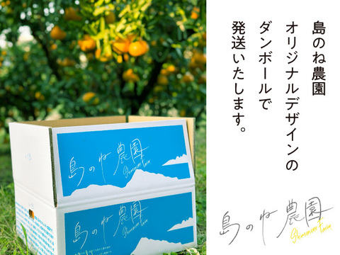 島のねレモン【瀬戸内産/国産/サイズ混合/3kg】