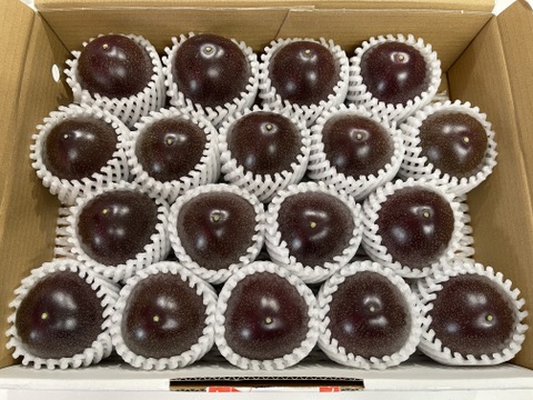 さわやかな酸味と甘味のハーモニーでトロピカル気分♪うるま市石川育ちのパッションフルーツ（贈答用・2㎏箱　満杯詰め）※重量は約2㎏となります。