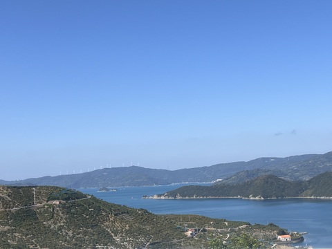 とろける甘さ せとか2kg