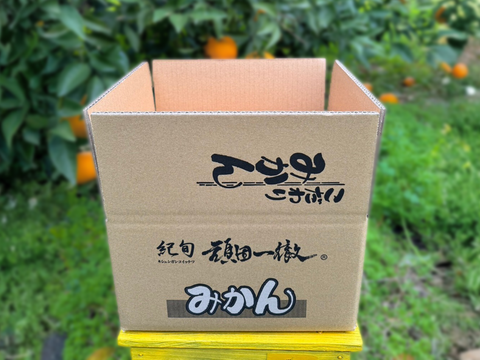 甘くて爽やかな希少柑橘🍊ご家庭用 春峰【サイズ混合・5kg箱】
