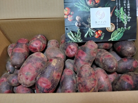 【ベジLIFE!!おススメ】☆レアじゃが☆グランドペチカ5㎏