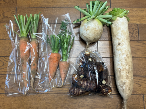 【訳あり】煮物に最適！　固定種の野菜セット11月 (霜月)