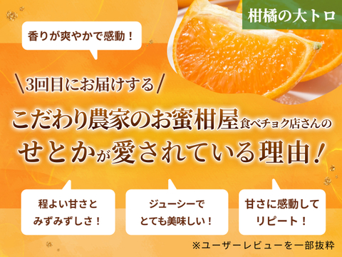 【限定200セット】冬の高級柑橘フルコース便🍊（食べチョク公式）