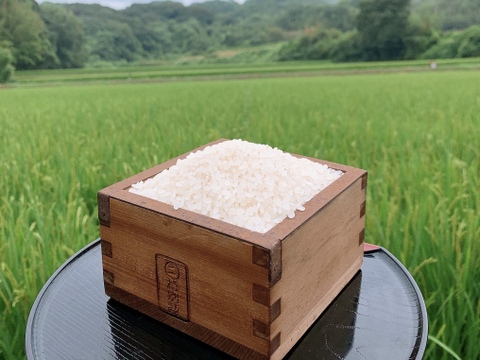 ホタル舞う熊本県産お米「にこまる」精米 10kg 農家直送