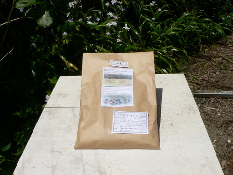 はせ掛けした合鴨米『夢ごこち』 玄米 １ｋｇ（850g 約６合）農薬化学肥料不使用