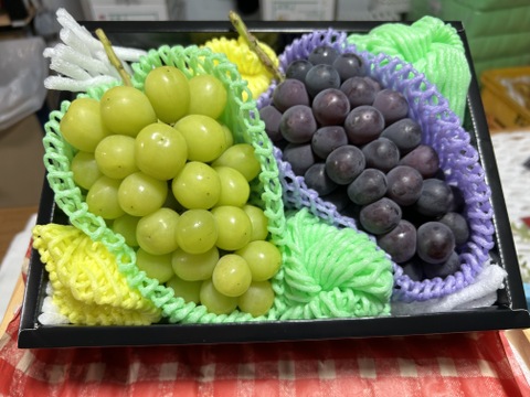 まるせい果樹園のぶどう　ぶどう　おまかせ化粧(1～2房)　　1ｋ箱　化粧箱　自家用　贈答用　ob9