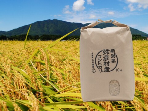 令和8年産新米》新潟県弥彦村産 コシヒカリ玄米 10kg：新潟県産のお米