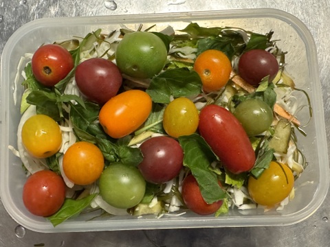 その日に採れた分だけその日に発送！！2㎏入り