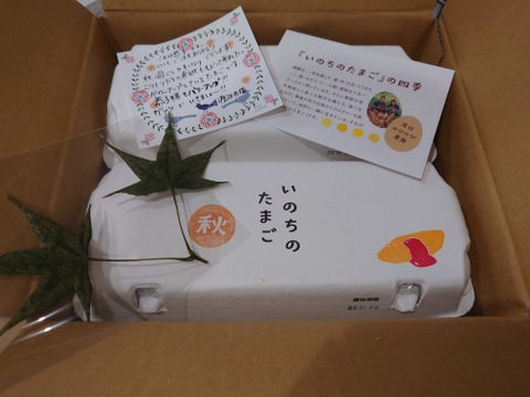 のびのび平飼い『いのちのたまご』
10個入り×4パック