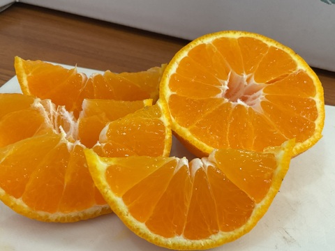 超〜お買い得❗️ちょっと訳ありだけどコク旨不知火　M〜2Lサイズ 24玉〜28玉（約7kg）