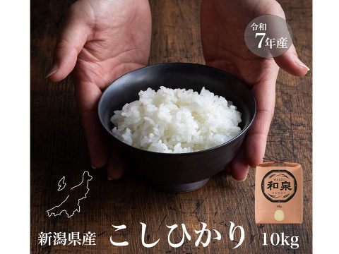 新潟県産コシヒカリ,和泉,10kg,令和7年新米,【受注後精米・農家直売】
