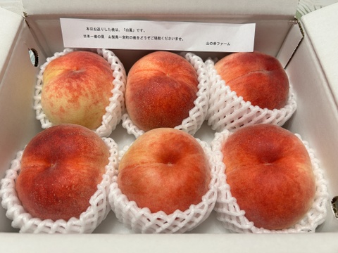 すぐ発送！🍑朝採れ山梨白桃】約2キロ！特大～大サイズ6～7個！一度