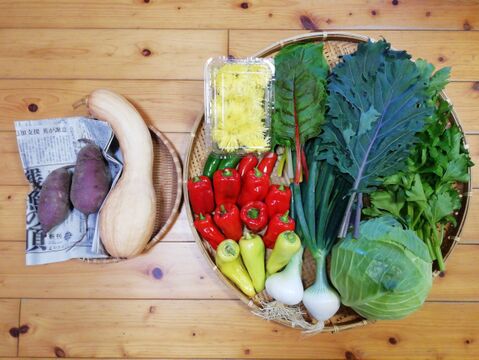【農薬化学肥料不使用】おまかせ野菜セット【6~8種類の野菜】【熨斗(のし)対応可】【80サイズ箱】