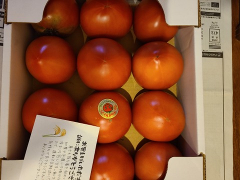 完熟美味っっ!!ブランドトマト【寺泉トマト】(2kg)