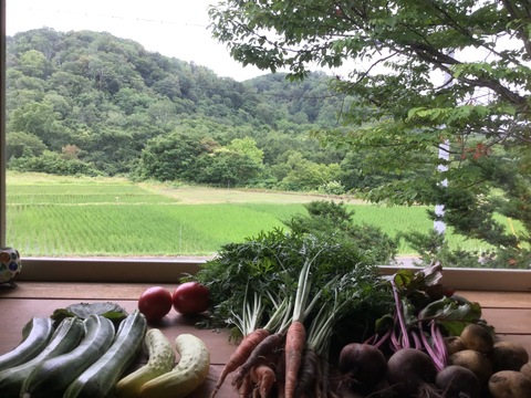 季節の野菜セット