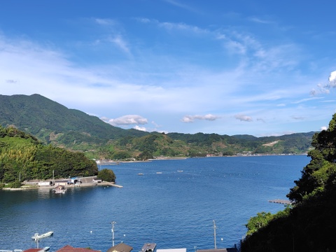 酸味と甘味のバランスの良い旬のちえみかん🍊（田口早生）10㌔