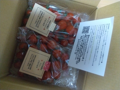 【食べ比べ 】食卓に笑顔を　ハートの様な形のトマトベリー＆ミニトマトのセット 1kg【千葉県旭市産】【トマト食べ比べ】