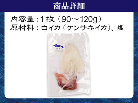 🦑白イカ(ケンサキイカ)の一夜干し3枚セット！島根県沖で獲れた新鮮なイカを港で開いて即干した逸品