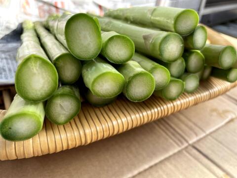 【先行予約/春限定】北海道産！大地の恵みを存分に受けた青空ファーム池田の青空アスパラ【2L/１kg】