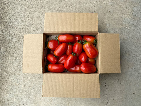 調理・加工用の定番トマト！サンマルツァーノ（2kg）